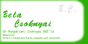 bela csoknyai business card